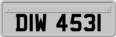 DIW4531