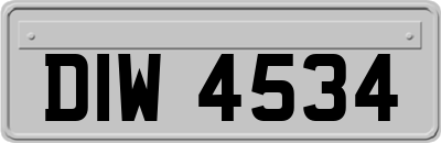 DIW4534