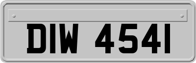 DIW4541