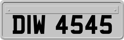 DIW4545