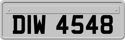 DIW4548
