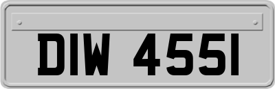 DIW4551