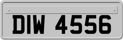 DIW4556