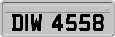 DIW4558