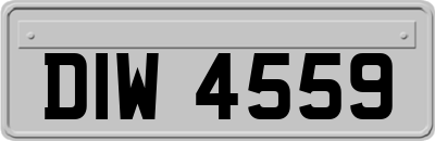 DIW4559