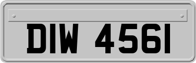 DIW4561