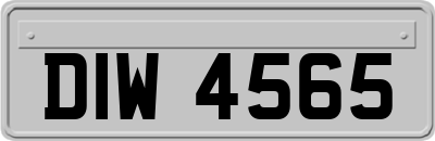 DIW4565