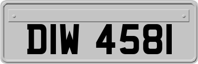 DIW4581