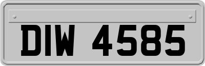 DIW4585