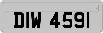 DIW4591