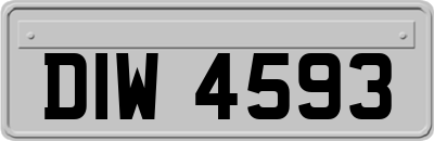 DIW4593