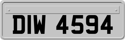DIW4594