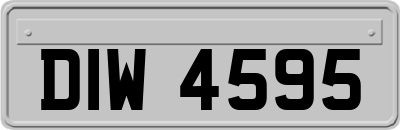 DIW4595