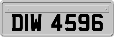 DIW4596