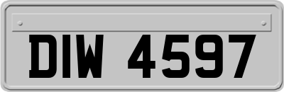 DIW4597