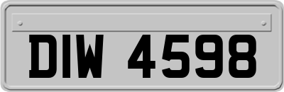 DIW4598