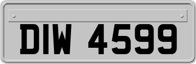DIW4599