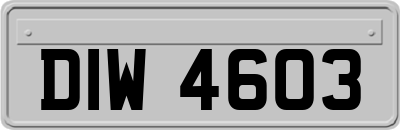 DIW4603