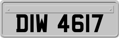 DIW4617