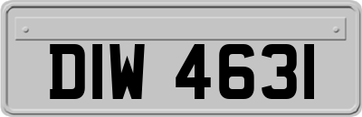 DIW4631