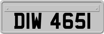 DIW4651