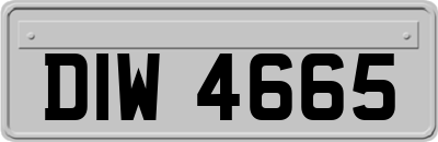 DIW4665