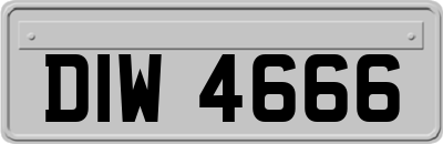 DIW4666