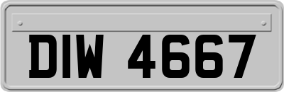 DIW4667