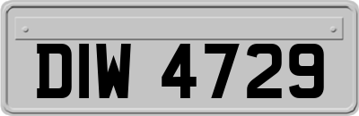 DIW4729