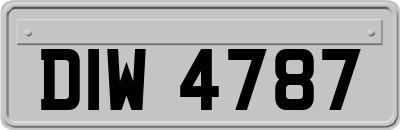 DIW4787