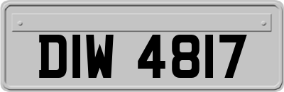 DIW4817