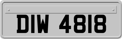 DIW4818