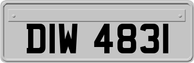DIW4831