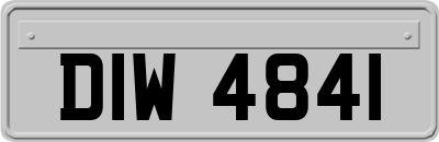 DIW4841