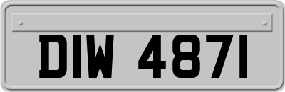 DIW4871
