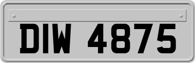 DIW4875