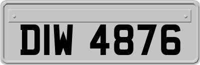 DIW4876