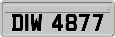 DIW4877