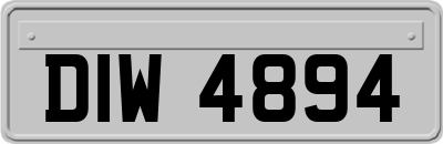 DIW4894