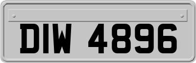 DIW4896