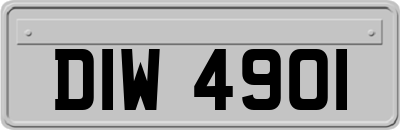 DIW4901