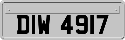 DIW4917