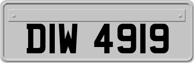 DIW4919