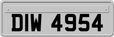DIW4954