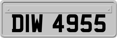 DIW4955