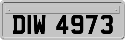 DIW4973