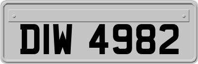 DIW4982