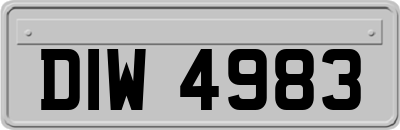 DIW4983