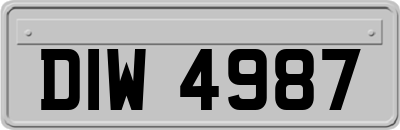 DIW4987