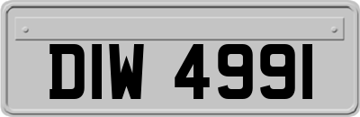 DIW4991